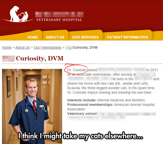 Taking+Your+Cat+To+This+Vet