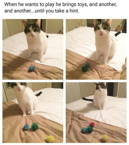 When+He+Wants+To+Play+He+Brings+Some+Toys