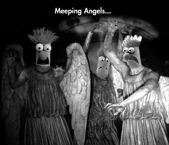 Don%26%238217%3Bt+meep