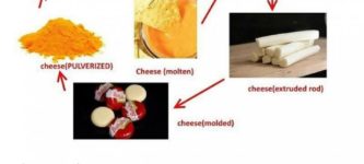 States+of+cheese