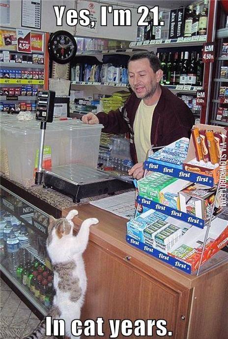 Yes%2C+I%26%238217%3Bm+21.