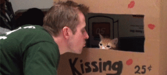 Kissing+booth.