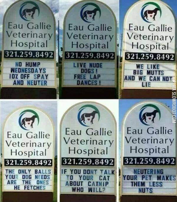 Veterinary+hospital+signs.