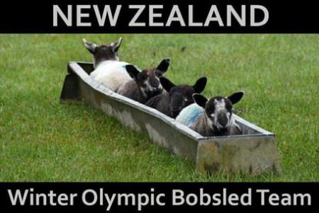 New+Zealand+Winter+Olympic+Bobsled+Team