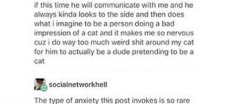 I+guess+you+could+say+OP+is+feline+anxious