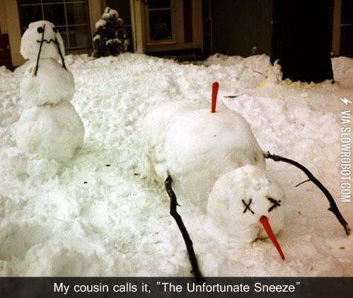 The+unfortunate+sneeze.