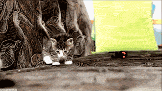 Foot%2C+what+are+you+doing%26%238230%3Bfoot%26%238230%3Bnooooo%21