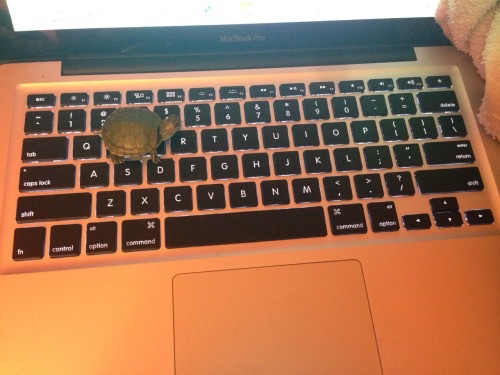 Man+this+essay+is+taking+forever