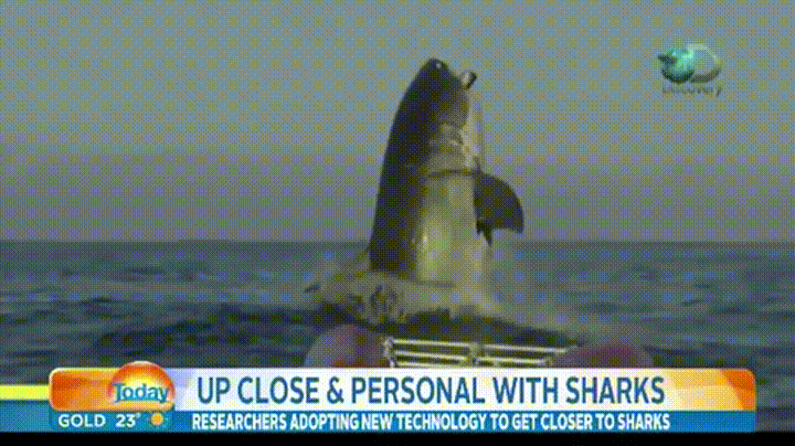 You%26%238217%3Bre+Going+to+Need+a+Bigger+Boat