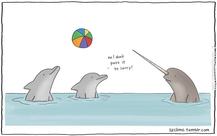 Narwhal+problems.