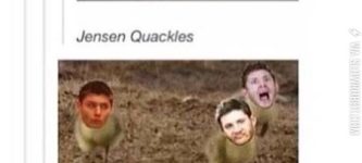 Jensen+Quackles%21