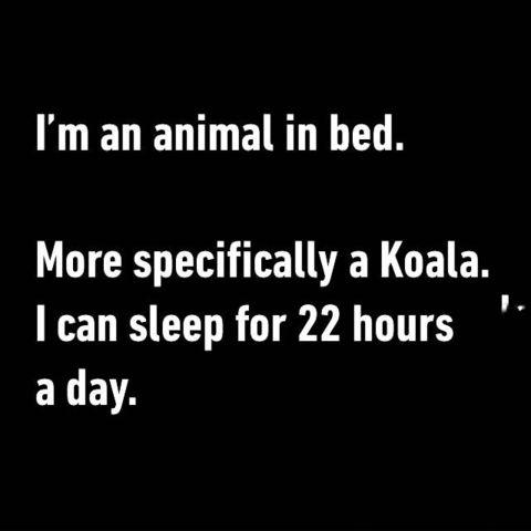 I%26%238217%3Bm+an+animal+in+bed