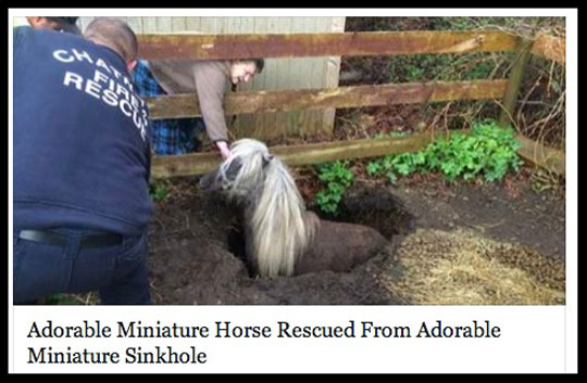 Now+This+Is+A+Good+Headline