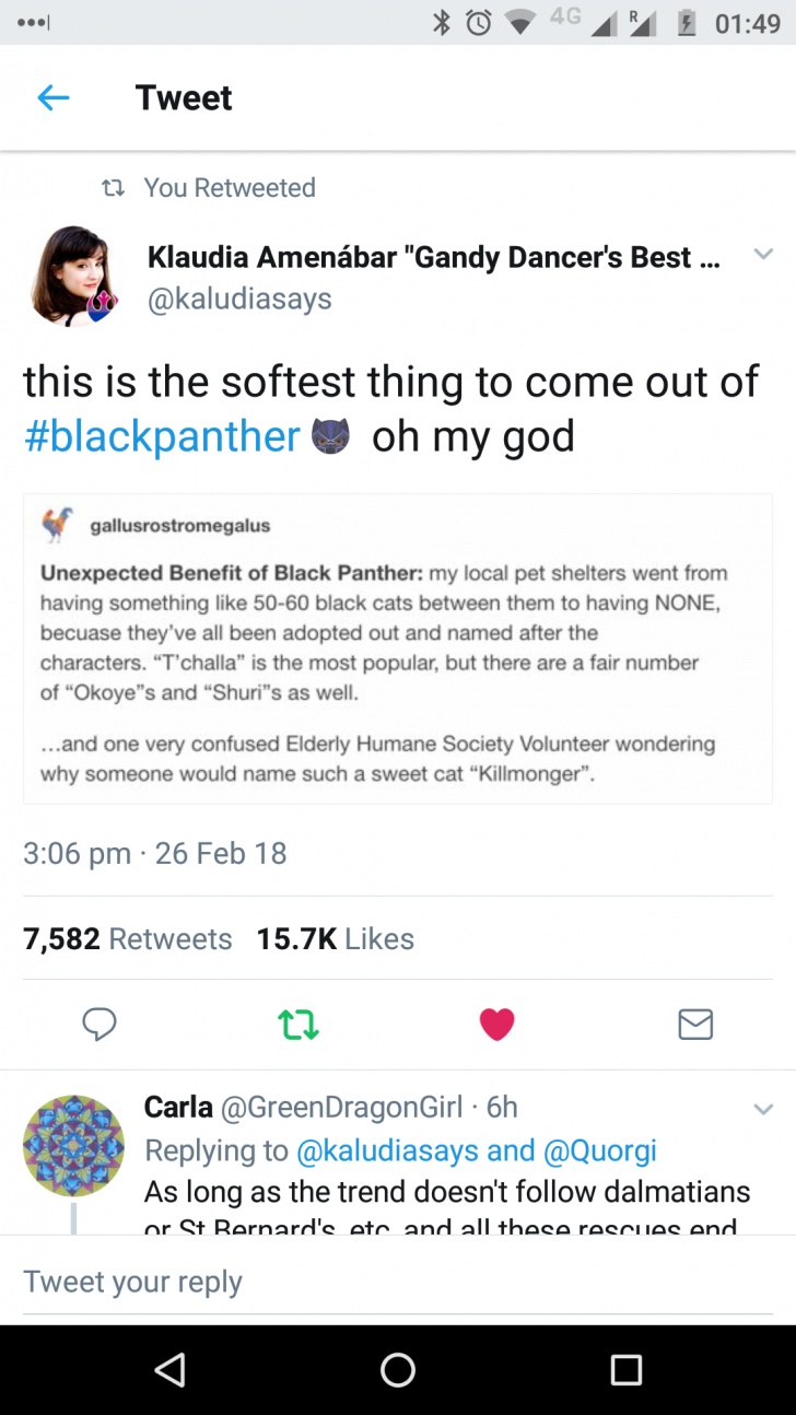 Wakanda+feline+you+looking+for%3F