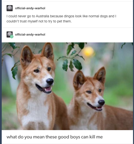 He+could+never+go+to+Australia