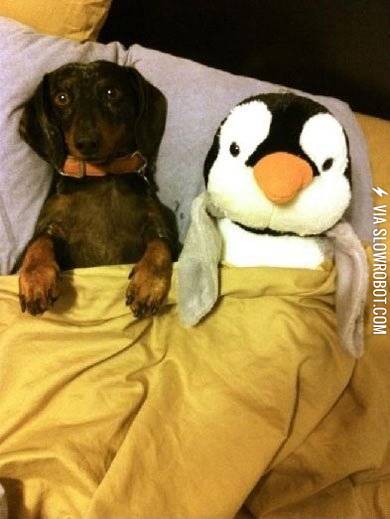 Bedtime+with+penguin.