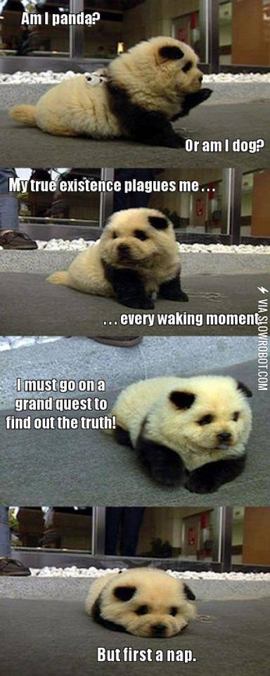 How+I+start+out+every+big+project.