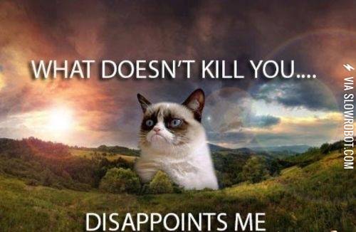 What+doesn%26%238217%3Bt+kill+you%26%238230%3B