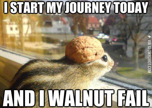 I+walnut+fail%21