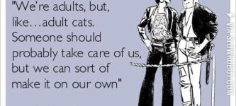 Adult+cats.