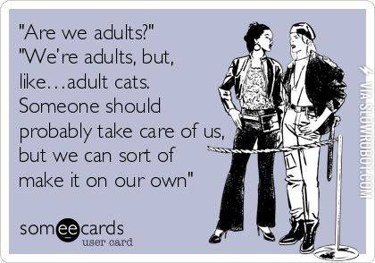 Adult+cats.