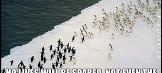 Penguin+gang+wars.
