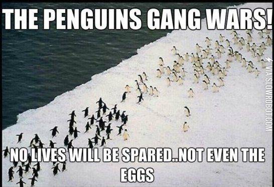 Penguin+gang+wars.