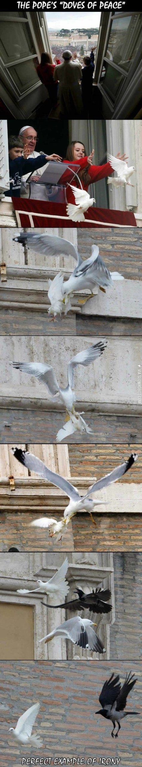 Obviously%2C+not+everyone+favors+peace%26%238230%3B