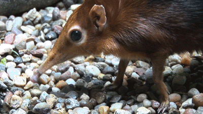 Nom+nom+nom%26%238230%3B