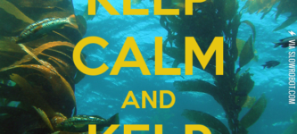 Just+Keep+Swimming%2C+Just+Keep+Swimming