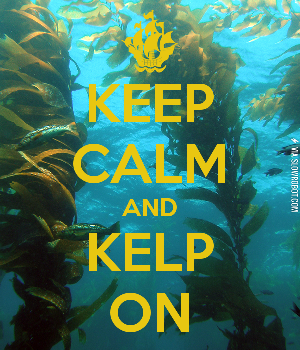 Just+Keep+Swimming%2C+Just+Keep+Swimming