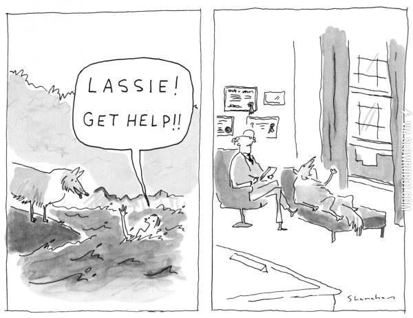 Lassie%2C+get+help%21