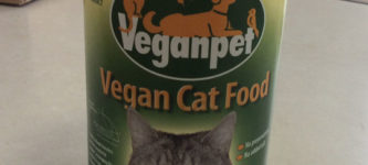 Cats%26%238217%3B+Reaction+To+Vegan+Food