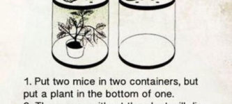 Photosynthesis+Experiment