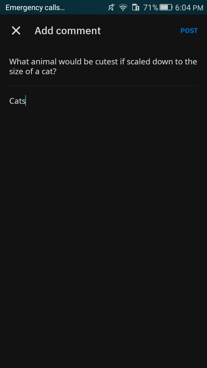 Pint+sized+cat%2C+of+course.