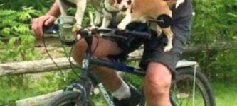 bork+bike