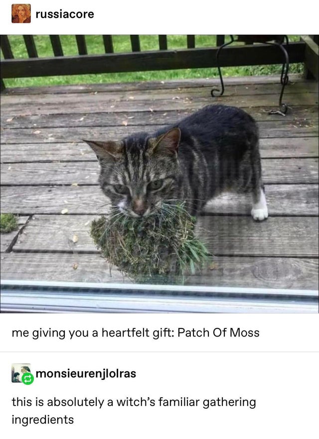 The+witches+are+busy+this+time+of+year