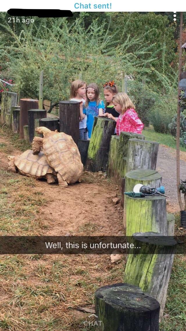 Zoo%26%238217%3Bs+are+educational.