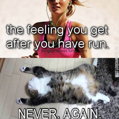 The+feeling+you+get+after+you+have+run.