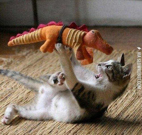 A+cat+playing+with+a+dinosaur