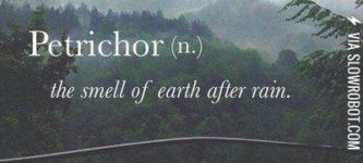 Petrichor.