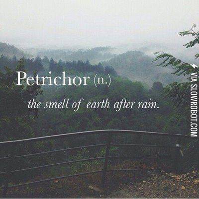 Petrichor.