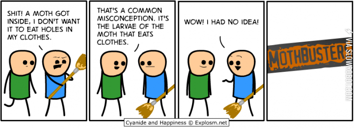 Mothbusters%26%238230%3B