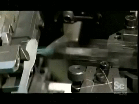 How+bristles+are+put+on+toothbrushes