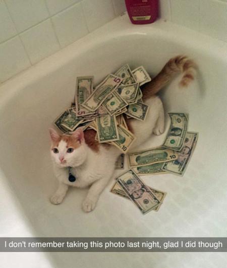 I+Don%26%238217%3Bt+Remember+Taking+This+Photo+Last+Night%26%238230%3B