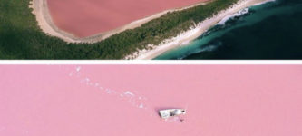 Lake+Hillier%2C+Australia