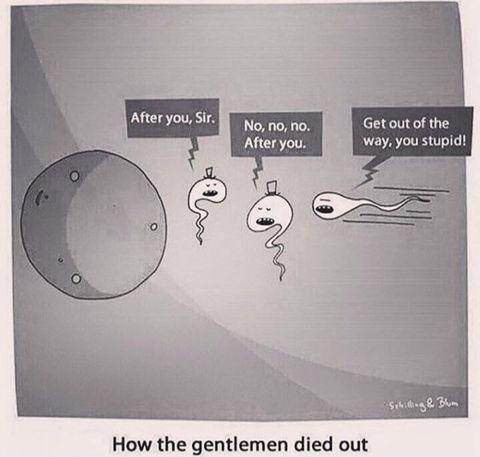 How+the+gentlemen+died+out