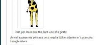 Two+legged+giraffe+is+seen+prancing+about