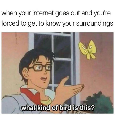 When+your+internet+goes+out%26%238230%3B