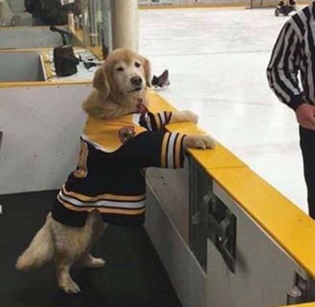 Looks+like+he+got+2+minutes+for+ruffing